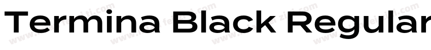 Termina Black Regular字体转换